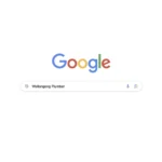 google Wollongong Plumber